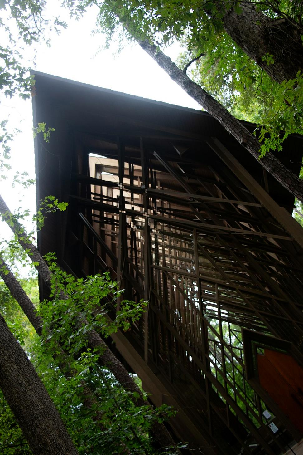 Coastal Canopy Adventure