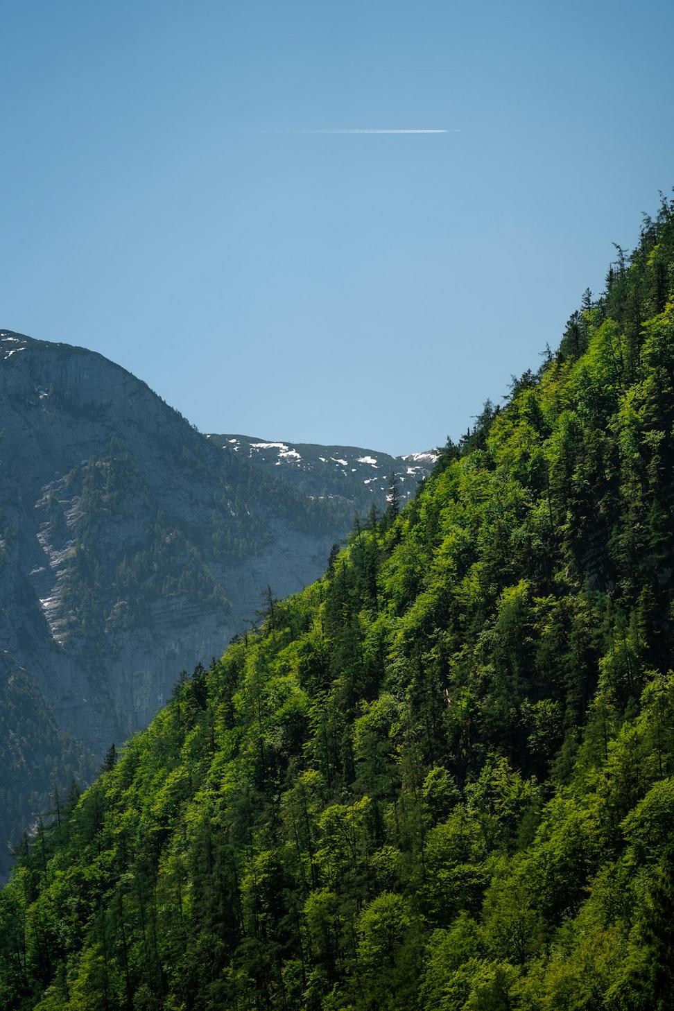 Squamish Valley Retreat