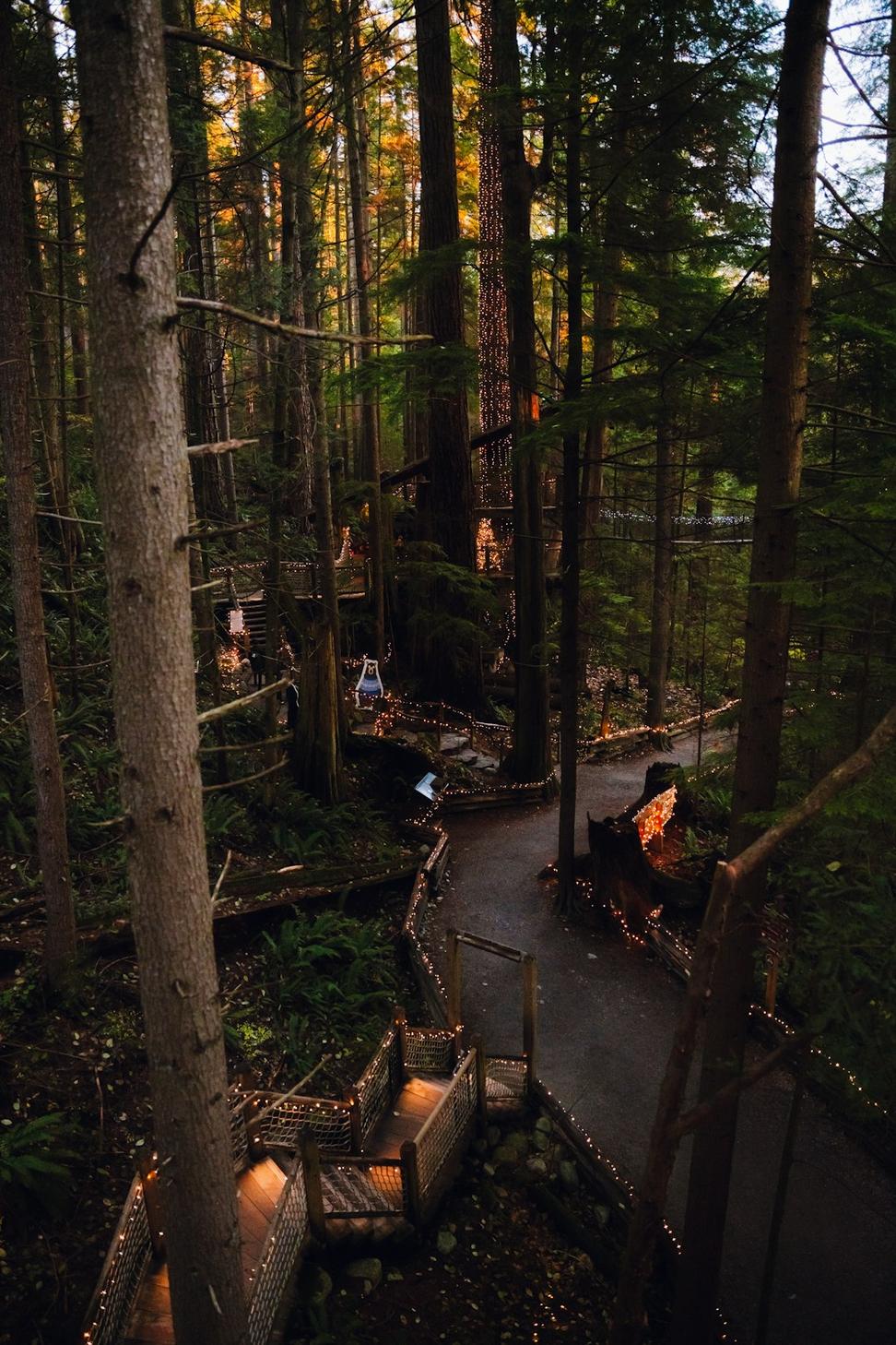 Tofino Coastal Lodge